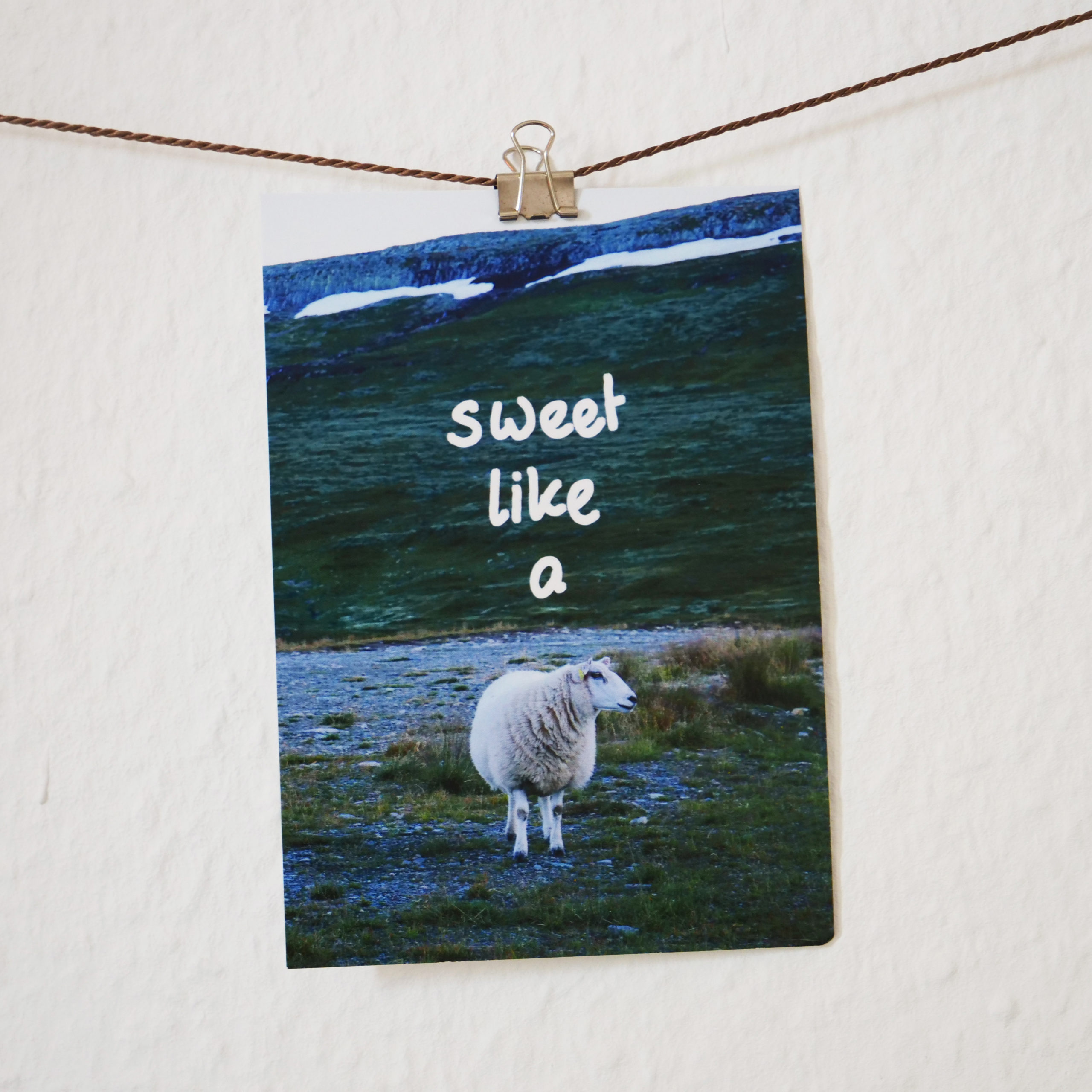 Postkarte-sweet-like-a-sheep